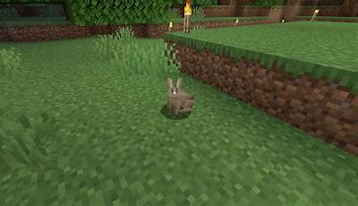 How To Get Rabbit Feet In Minecraft
