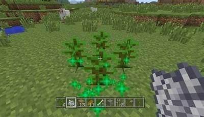 How To Grow Big Jungle Trees In Minecraft
