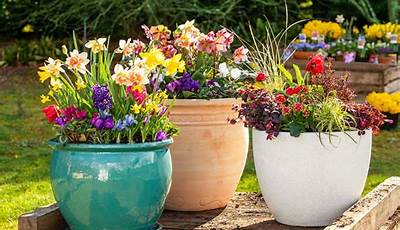 How To Grow Outdoor Plants In Pots