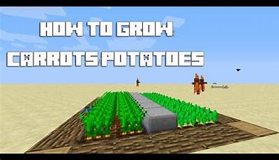 How To Grow Potatoes In Minecraft