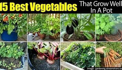 How To Grow Vegetable Plants Fast