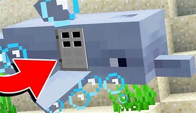 How To Keep Dolphins Alive In Minecraft