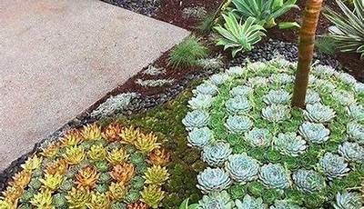 How To Landscape Front Yard With Succulents