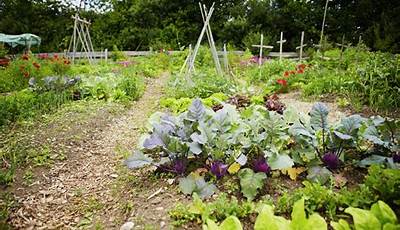How To Plant A Vegetable Garden In The Ground
