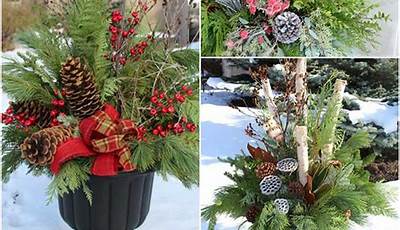 How To Prepare Outdoor Pots For Winter