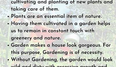 Importance Of Backyard Gardening Essay