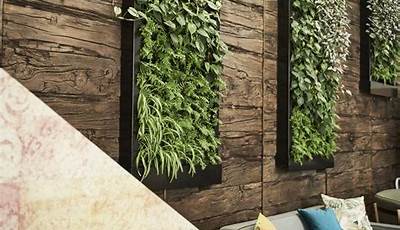 Indoor Green Wall Plants List