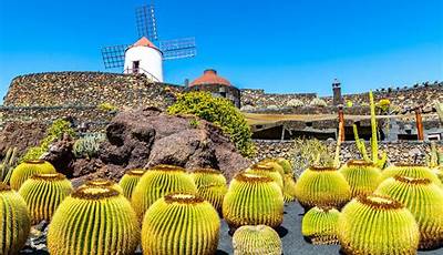 Jardin De Los Cactus Lanzarote Precio
