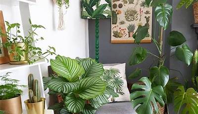 Living Room Decor Ideas With Indoor Plants
