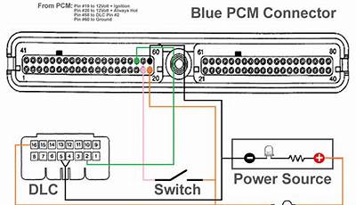 Ls Bench Harness Wiring Diagram