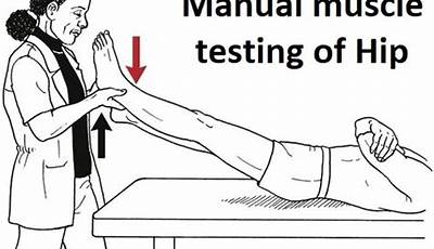 Manual Muscle Testing Hip Extension