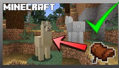 Minecraft Lama Saddle