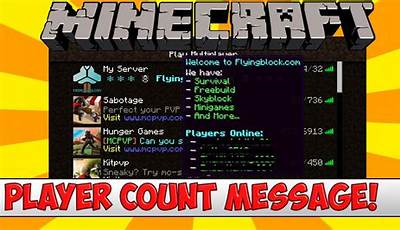 Minecraft Live Player Count