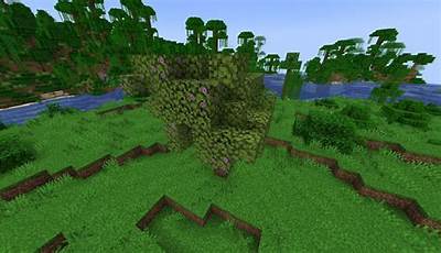 Minecraft Lush Tree