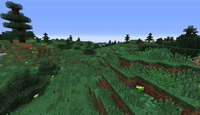 Minecraft Meadow Biome