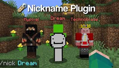 Minecraft Nickname Plugin