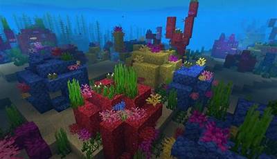 Minecraft Ocean Biomes
