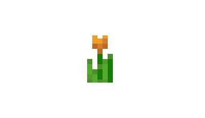 Minecraft Orange Tulip