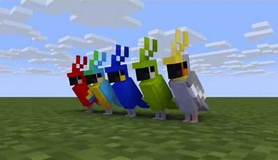 Minecraft Parrot On Shoulder