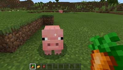 Minecraft Pigs Food