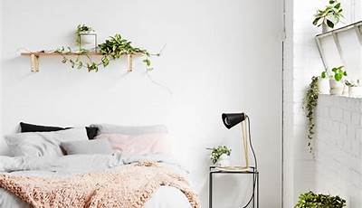 Minimalist Bedroom Ideas With Plants