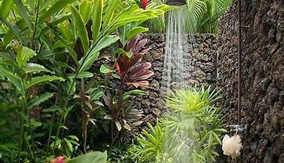 Natural Shower With Plants