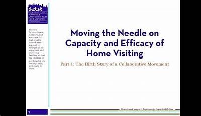 Needles Case Management User Manual
