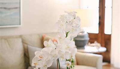 Orchid Styling Coffee Tables