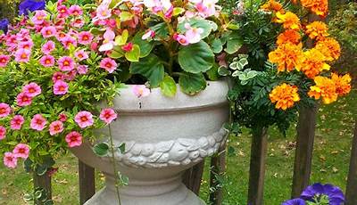 Patio Flower Pots