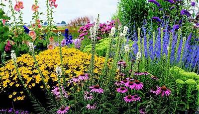 Perennial Flower Garden Ideas Pictures