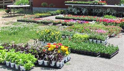 Places To Buy Garden Plants Near Me
