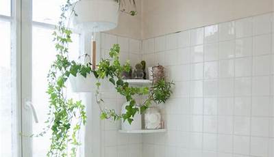 Plants For The Shower Apartment Therapy