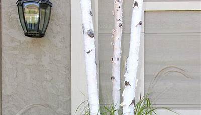 Porch Pots With Birch