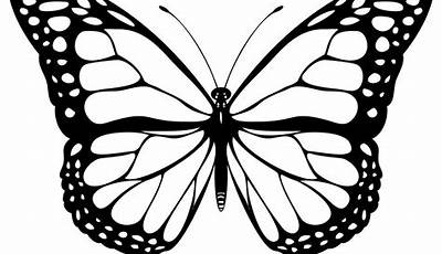 Printable Coloring Pages Of Butterflies