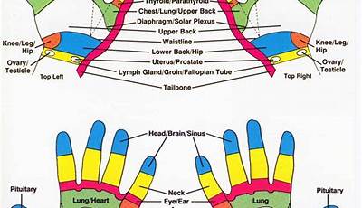 Printable Hand Reflexology Chart