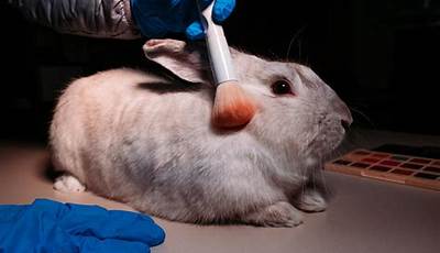 Unveiling The Pitfalls Of Animal Testing: Unveiling Ethical Quandaries And Scientific Limitations