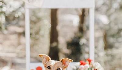Puppy Valentines Day Photoshoot