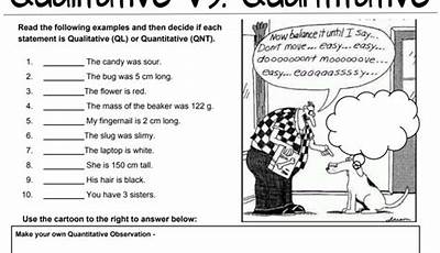 Quantitative And Qualitative Worksheet