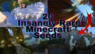 Rare Minecraft Seeds
