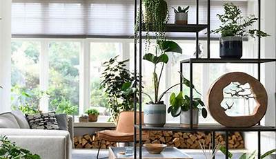 Room Divider Ideas Plants