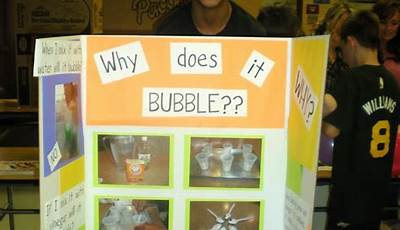 Science Fair Projects For 5Th Grade