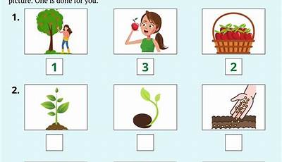 Sequence Worksheets For Kindergarten