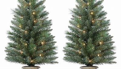 Set Of 2 Pre Lit Porch Outdoor Christmas Trees