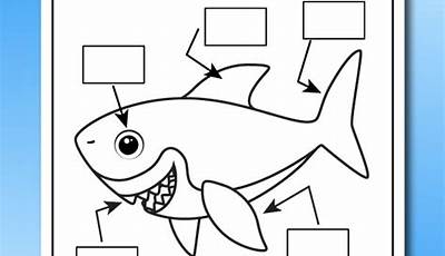 Shark Worksheets For Kindergarten