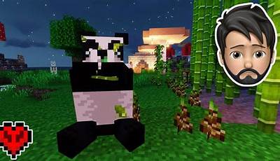 Sick Panda Minecraft