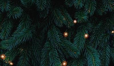 Simple Dark Green Christmas Wallpaper