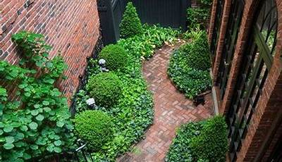 Small Courtyard Planting Ideas