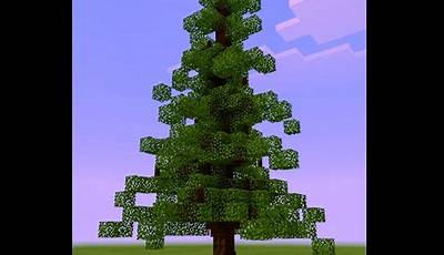 Spruce Tree Minecraft
