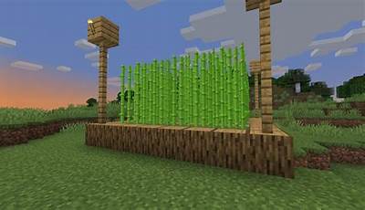 Sugar Canes Minecraft