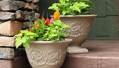 Terrace Garden Pots Online